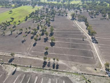 Residential Block For Sale - VIC - Koondrook - 3580 - A Premier Investment & Lifestyle Opportunity  (Image 2)