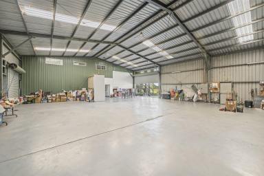 House For Sale - NSW - South Kempsey - 2440 - Go Big or Go Home! Enormous Potential Only 10-Minutes to Beach  (Image 2)