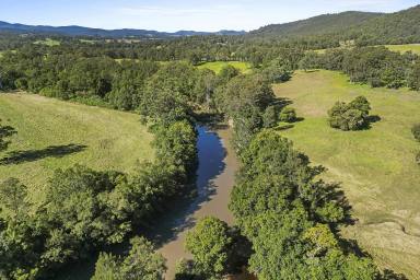 Other (Rural) For Sale - NSW - Stroud - 2425 - RIVERFRONT LIFESTYLE OF PRIME FARMLAND!  (Image 2)