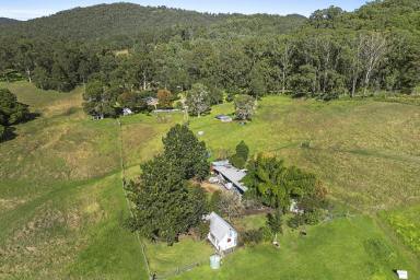 Other (Rural) For Sale - NSW - Stroud - 2425 - RIVERFRONT LIFESTYLE OF PRIME FARMLAND!  (Image 2)