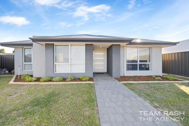 House For Sale - WA - Banksia Grove - 6031 - MODERN LUXURY, ETERNAL CHARM  (Image 2)