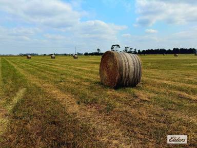 Acreage/Semi-rural For Sale - VIC - Cobains - 3851 - CONSIDER THE POSSIBILITIES  (Image 2)