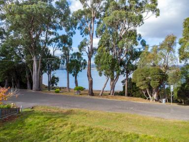 Residential Block For Sale - TAS - Gravelly Beach - 7276 - PIECE of PARADISE  (Image 2)