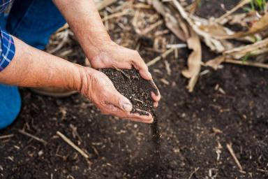 Commercial Farming For Lease - QLD - Brymaroo - 4403 - Licence to Occupy  (Image 2)