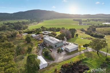 Viticulture For Sale - VIC - Healesville - 3777 - The Ultimate Lifestyle Blend – Country Living, Winery Income, Yarra Valley Beauty (Image 2)