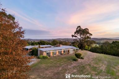 Viticulture For Sale - VIC - Healesville - 3777 - Gracedale Hills Estate – A Yarra Valley Lifestyle Property with Income  (Image 2)