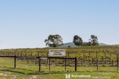 Viticulture For Sale - VIC - Healesville - 3777 - The Ultimate Lifestyle Blend – Country Living, Winery Income, Yarra Valley Beauty  (Image 2)