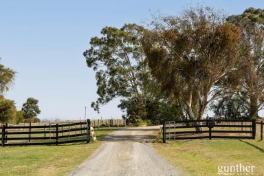Viticulture For Sale - VIC - Healesville - 3777 - The Ultimate Lifestyle Blend – Country Living, Winery Income, Yarra Valley Beauty  (Image 2)