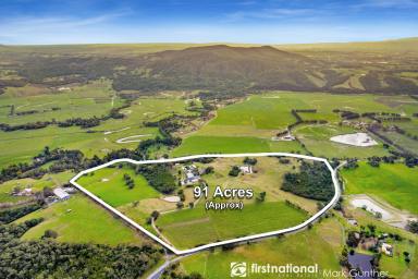 Viticulture For Sale - VIC - Healesville - 3777 - The Ultimate Lifestyle Blend – Country Living, Winery Income, Yarra Valley Beauty  (Image 2)