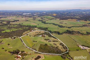 Viticulture For Sale - VIC - Healesville - 3777 - The Ultimate Lifestyle Blend – Country Living, Winery Income, Yarra Valley Beauty (Image 2)