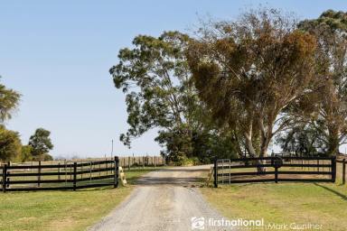Viticulture For Sale - VIC - Healesville - 3777 - Gracedale Hills Estate – A Yarra Valley Lifestyle Property with Income  (Image 2)