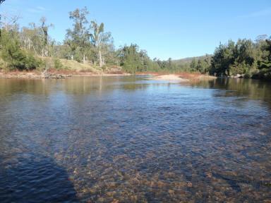 Lifestyle For Sale - NSW - Rocky River - 2372 - PITKINS PADDOCK  (Image 2)