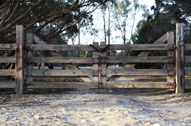 Acreage/Semi-rural For Sale - SA - Haines - 5223 - LIFESTYLE AWAITS WITH YOUR OWN VINEYARD  (Image 2)