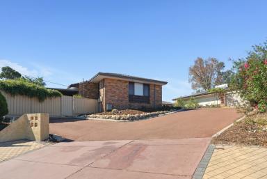 House For Sale - WA - Craigie - 6025 - In a word: Inviting.  (Image 2)