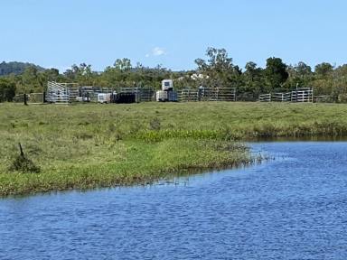 Livestock For Sale - QLD - Mount Ossa - 4741 - Breathtaking 82-Acre Riverfront Escape Grazing, Fishing, Lifestyle and Income Opportunity (Image 2)
