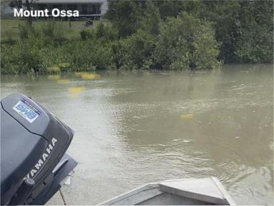 Livestock For Sale - QLD - Mount Ossa - 4741 - Breathtaking 82-Acre Riverfront Escape Grazing, Fishing, Lifestyle and Income Opportunity  (Image 2)