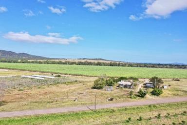 Other (Rural) For Sale - QLD - Airville - 4807 - 24 Acres - House - Shed - Bore Water - Airville  (Image 2)