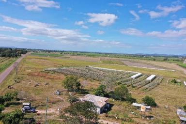 Other (Rural) For Sale - QLD - Airville - 4807 - 24 Acres - House - Shed - Bore Water - Airville  (Image 2)
