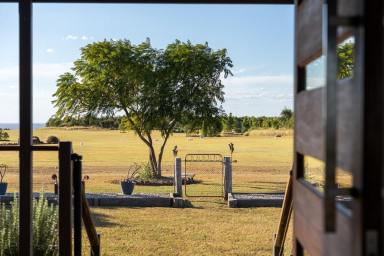 Lifestyle For Sale - QLD - Irongate - 4356 - Figtree Country Retreat!  (Image 2)