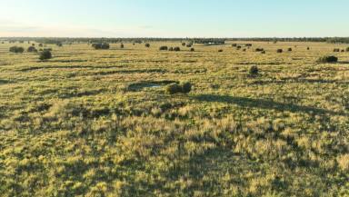 Livestock For Sale - QLD - Drillham - 4424 - Outstanding, Highly Developed & Improved Grazing Opportunity  (Image 2)