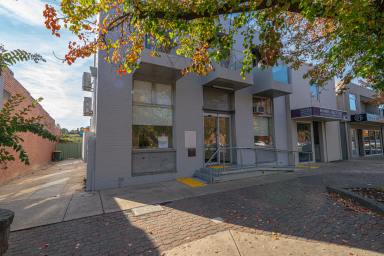 Office(s) For Lease - VIC - Myrtleford - 3737 - Unique Office Space in Clyde Street  (Image 2)