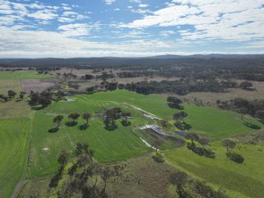 Livestock For Sale - QLD - Dalveen - 4374 - A Highly Developed & Improved Cattle Breeding & Backgrounding Enterprise  (Image 2)