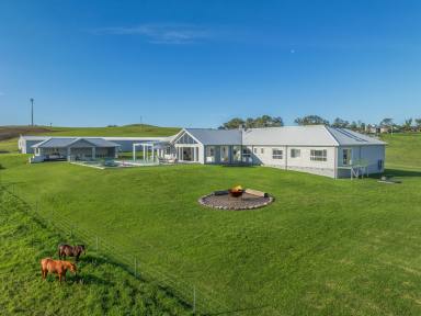 Acreage/Semi-rural For Sale - NSW - Jamberoo - 2533 - A World-Class Rural Estate in Jamberoo's Most Exclusive Enclave  (Image 2)