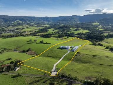 Acreage/Semi-rural For Sale - NSW - Jamberoo - 2533 - Unrivalled Luxury & Scenic Prestigious Boutique Acreage (Image 2)