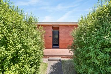 House For Sale - TAS - Ouse - 7140 - Charming Brick Home in the Heart of Ouse  (Image 2)