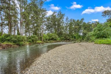 Lifestyle For Sale - NSW - Gloucester - 2422 - Idyllic Rural Lifestyle with River Frontage & Endless Potential - Just Minutes from Gloucester  (Image 2)