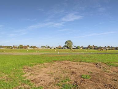 Residential Block For Sale - VIC - East Bairnsdale - 3875 - ELEVATED VANTAGE POINT  (Image 2)