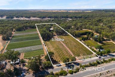 Other (Residential) For Sale - WA - Neerabup - 6031 - A Rare Jewel:  A Legacy Awaits!  (Image 2)
