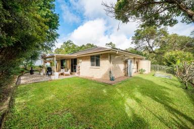 House For Sale - QLD - Cooroy - 4563 - Semi-rural feel in the heart of Cooroy  (Image 2)
