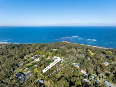 House For Sale - VIC - Shoreham - 3916 - A Breezy Blend of Character and Calm  (Image 2)