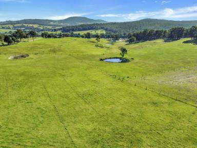 House For Sale - VIC - Clifton Creek - 3875 - MOUNTAIN VIEWS – HOLLINGSWORTH ROAD  (Image 2)