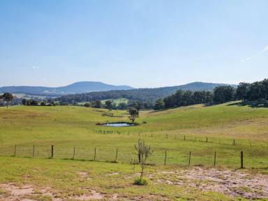 House For Sale - VIC - Clifton Creek - 3875 - MOUNTAIN VIEWS – HOLLINGSWORTH ROAD  (Image 2)