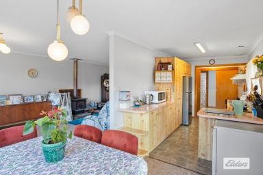 Other (Rural) For Sale - TAS - Lower Wilmot - 7310 - WILMOT COUNTRY HOME + LAND  (Image 2)