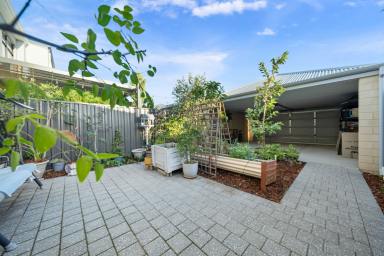 Townhouse For Sale - WA - Cockburn Central - 6164 - Immaculate Town House - move in ready  (Image 2)