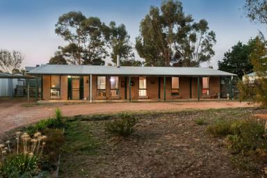 House For Sale - VIC - Maiden Gully - 3551 - Space, Charm & Subdivision Potential - 4,000m2  (Image 2)
