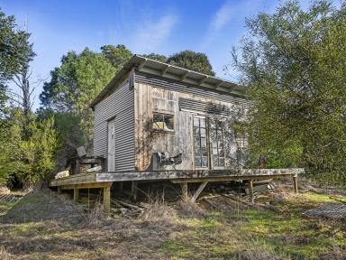 Residential Block For Sale - TAS - Forcett - 7173 - Unlock The Potential  (Image 2)