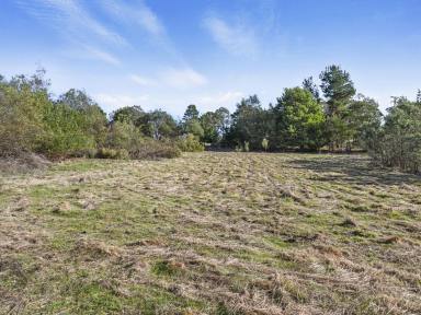 Residential Block For Sale - TAS - Forcett - 7173 - Unlock The Potential  (Image 2)