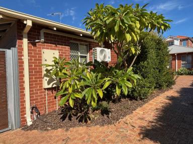 Villa For Lease - WA - Mount Lawley - 6050 - Spacious 2x1 villa in the heart of Mount Lawley  (Image 2)