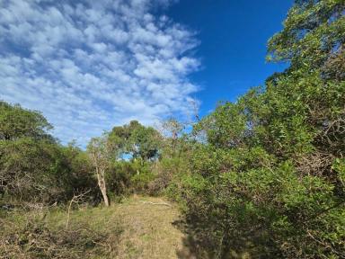 Residential Block For Sale - VIC - Hollands Landing - 3862 - FENCED CAMPING BLOCK WITH ANNEXE  (Image 2)