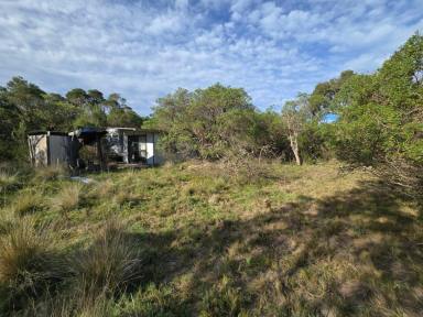 Residential Block For Sale - VIC - Hollands Landing - 3862 - FENCED CAMPING BLOCK WITH ANNEXE  (Image 2)