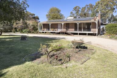 House For Sale - VIC - Nyah West - 3595 - Tranquil Lifestyle Property on Nyah West Outskirts  (Image 2)