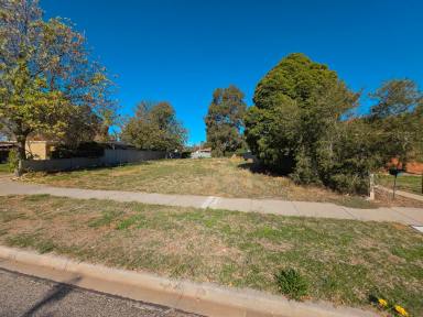Residential Block For Sale - VIC - Kerang - 3579 - Vacant Land  (Image 2)