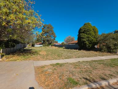Residential Block For Sale - VIC - Kerang - 3579 - Vacant Land  (Image 2)