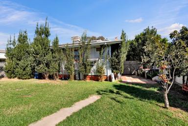 House For Sale - VIC - Mildura - 3500 - SIMPLY GOOD VALUE  (Image 2)