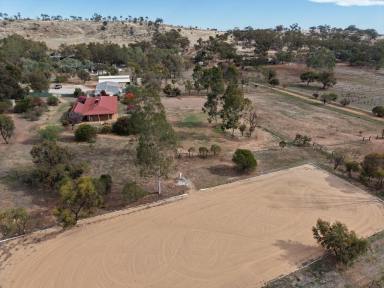 Mixed Farming For Sale - WA - York - 6302 - Premium Equine Property with Views to Mount Brown  (Image 2)