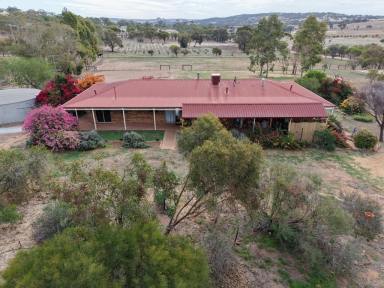 Mixed Farming For Sale - WA - York - 6302 - Premium Equine Property with Views to Mount Brown  (Image 2)